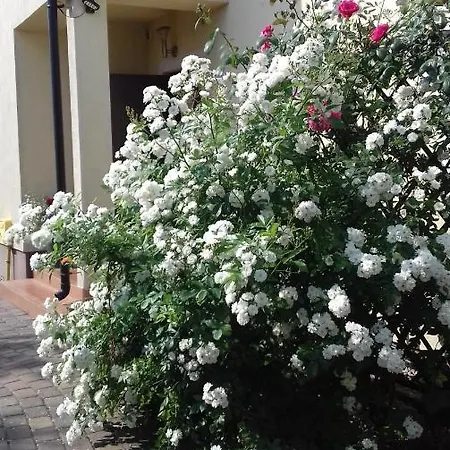אכסניה Kapitanskie & Mini Golf *