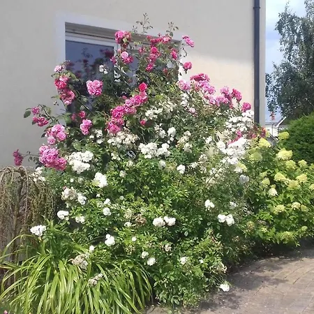 Kapitanskie Z Prywatnym Polem Do Gry W Mini Golf Деревянный коттедж *