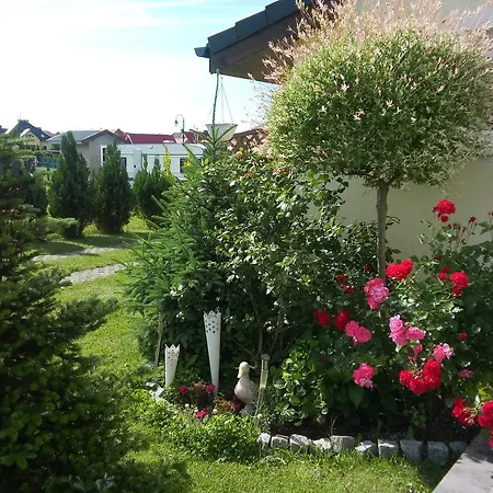 Orman Evi Kapitanskie Z Prywatnym Polem Do Gry W Mini Golf