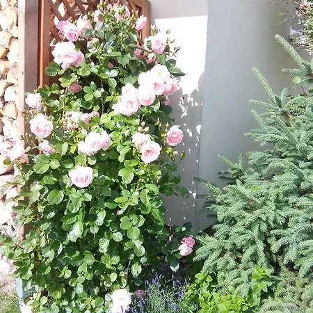 Kapitanskie Z Prywatnym Polem Do Gry W Mini Golf Orman Evi *