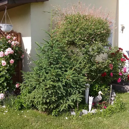 Kapitanskie Z Prywatnym Polem Do Gry W Mini Golf *