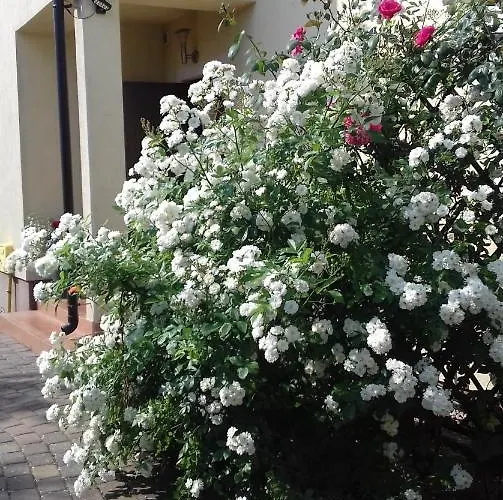 Деревянный коттедж Kapitanskie Z Prywatnym Polem Do Gry W Mini Golf *