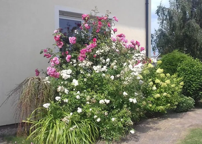 Kapitańskie Z Prywatnym Polem Do Gry W Mini Golf Domek letniskowy *