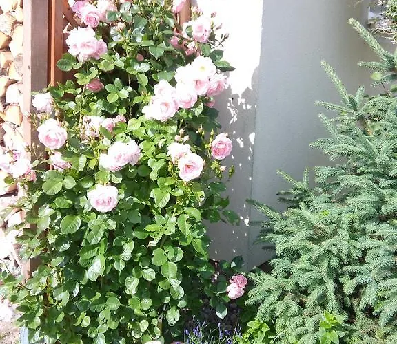 Kapitańskie Z Prywatnym Polem Do Gry W Mini Golf Domek letniskowy *