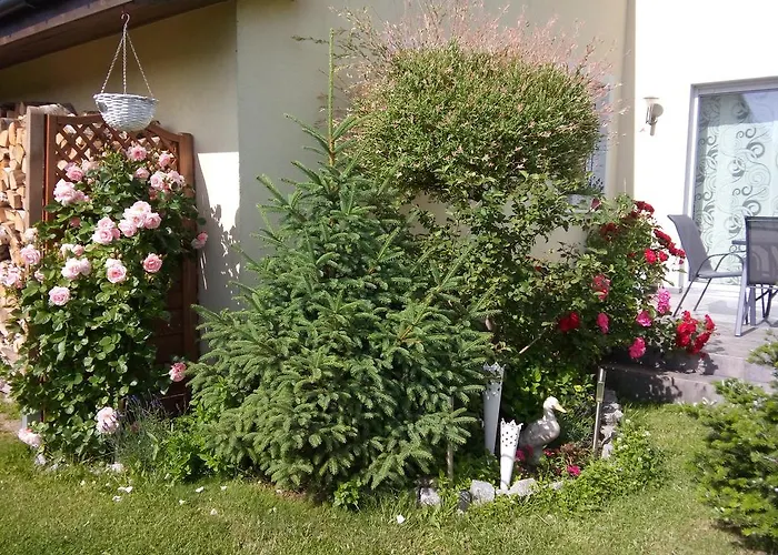 Kapitańskie Z Prywatnym Polem Do Gry W Mini Golf *